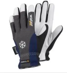 121611_700C0201595