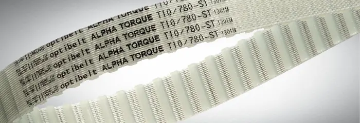 780A0000203.jpg