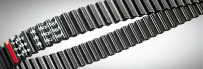 216928_780A0000600