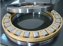 253206_780G0700443