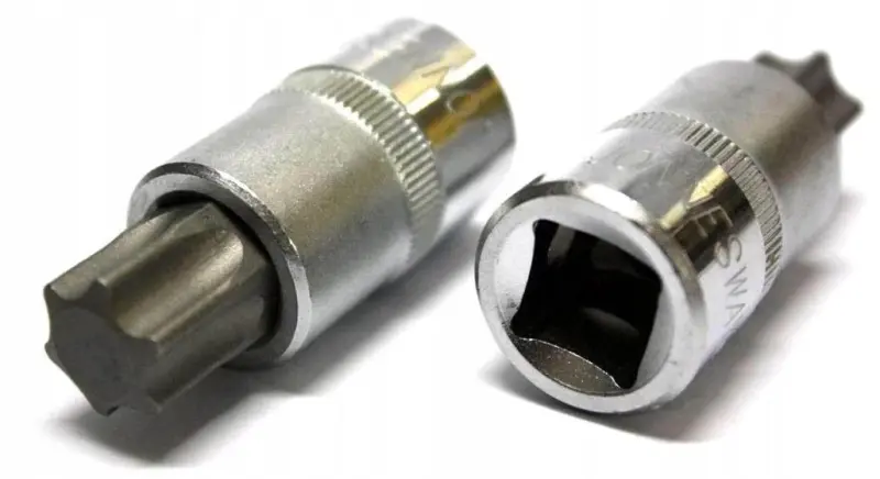 760V5404282.JPG
