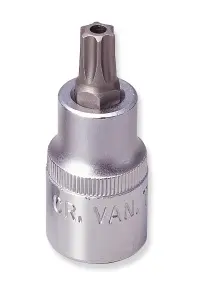 760V5404462.jpg