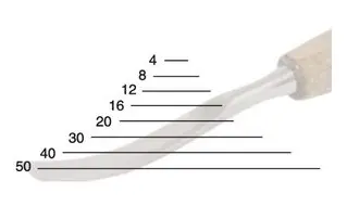 294480_760N0300169