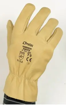 700C0203277.PNG