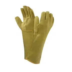 700C0500153.PNG