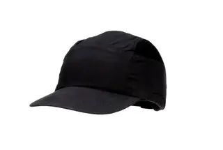 Capture1~898.PNG