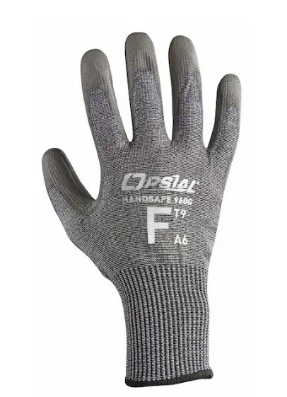 700C0204338.PNG